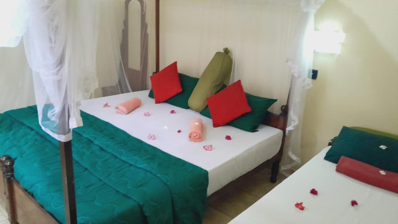 New Sea Lion Guest House 希克杜沃 外观 照片