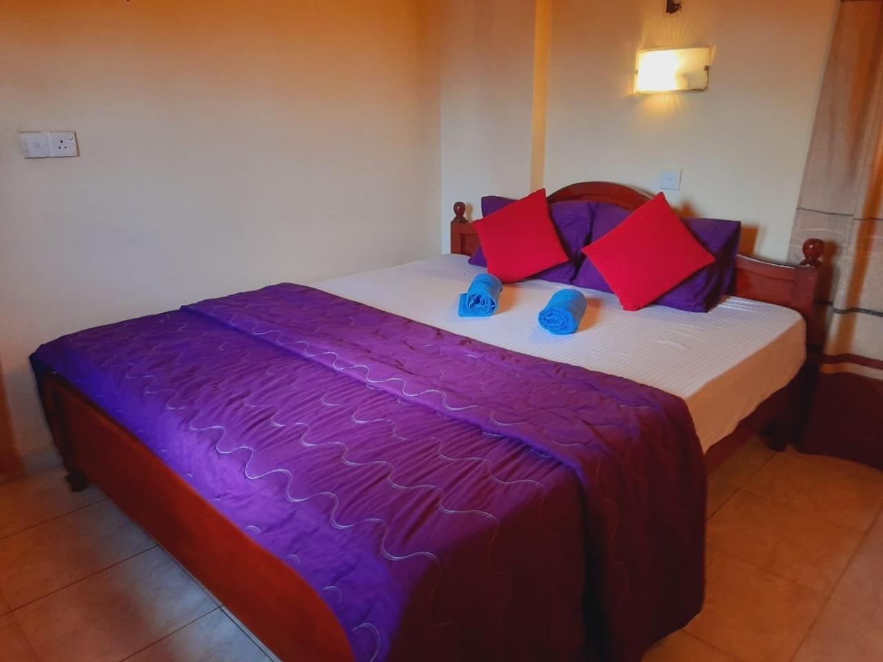 New Sea Lion Guest House 希克杜沃 外观 照片