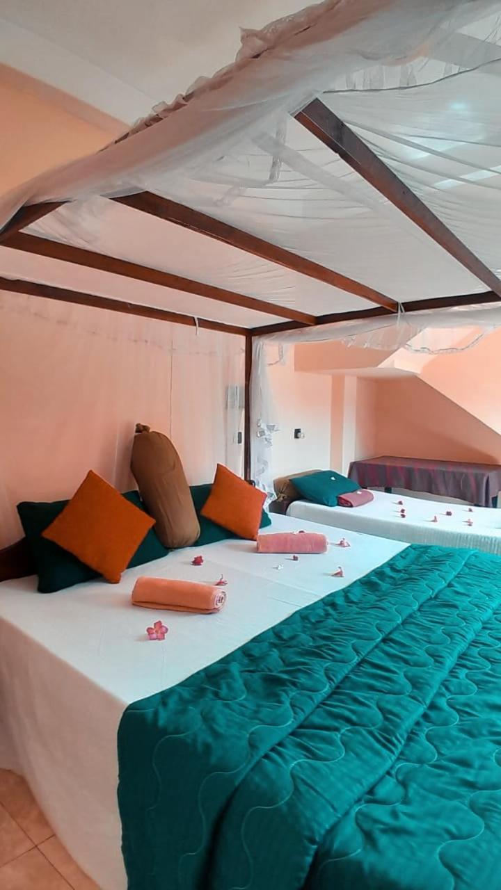 New Sea Lion Guest House 希克杜沃 外观 照片
