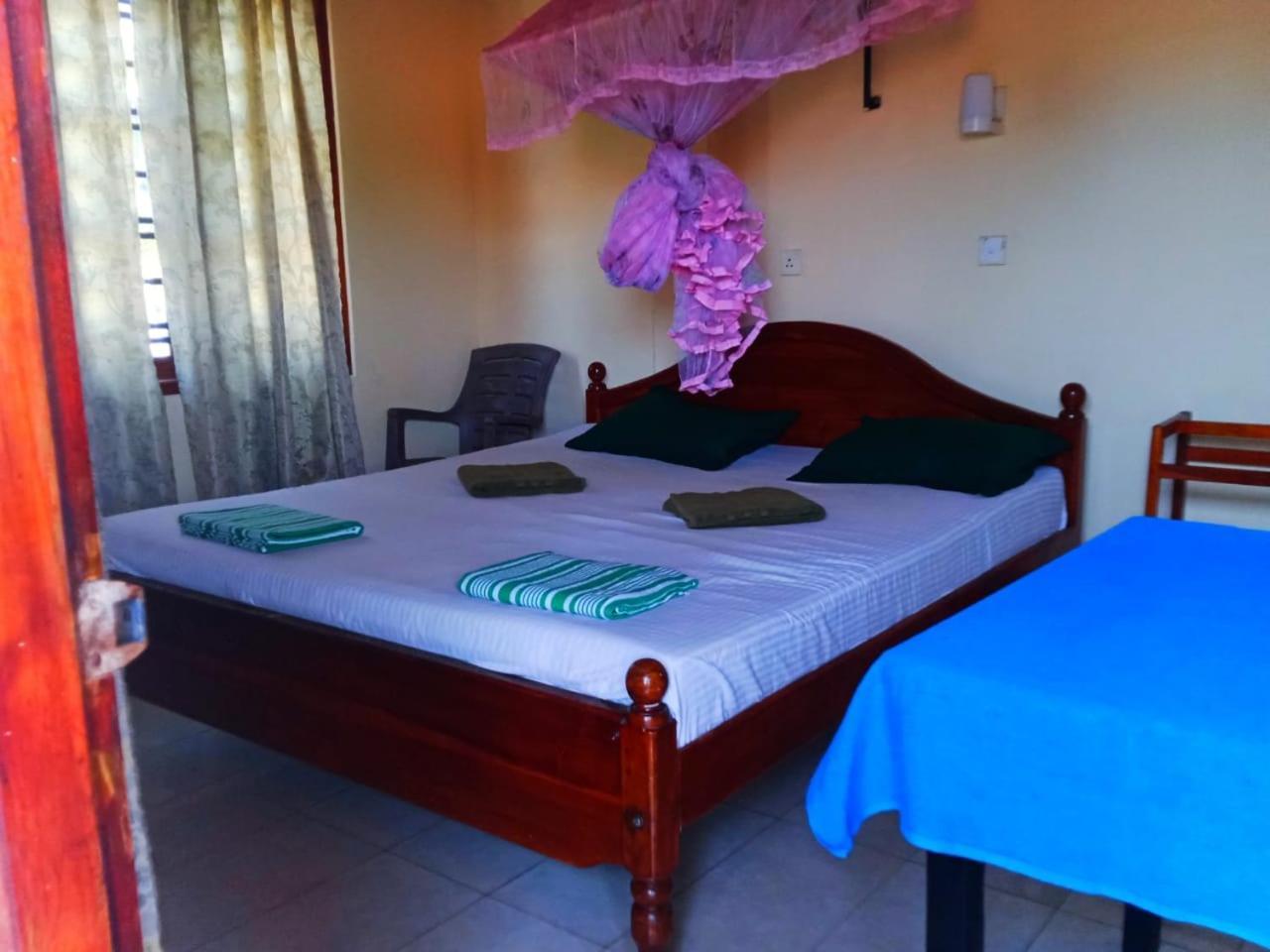 New Sea Lion Guest House 希克杜沃 外观 照片